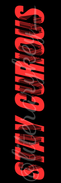 Stay Curious Bookmark
